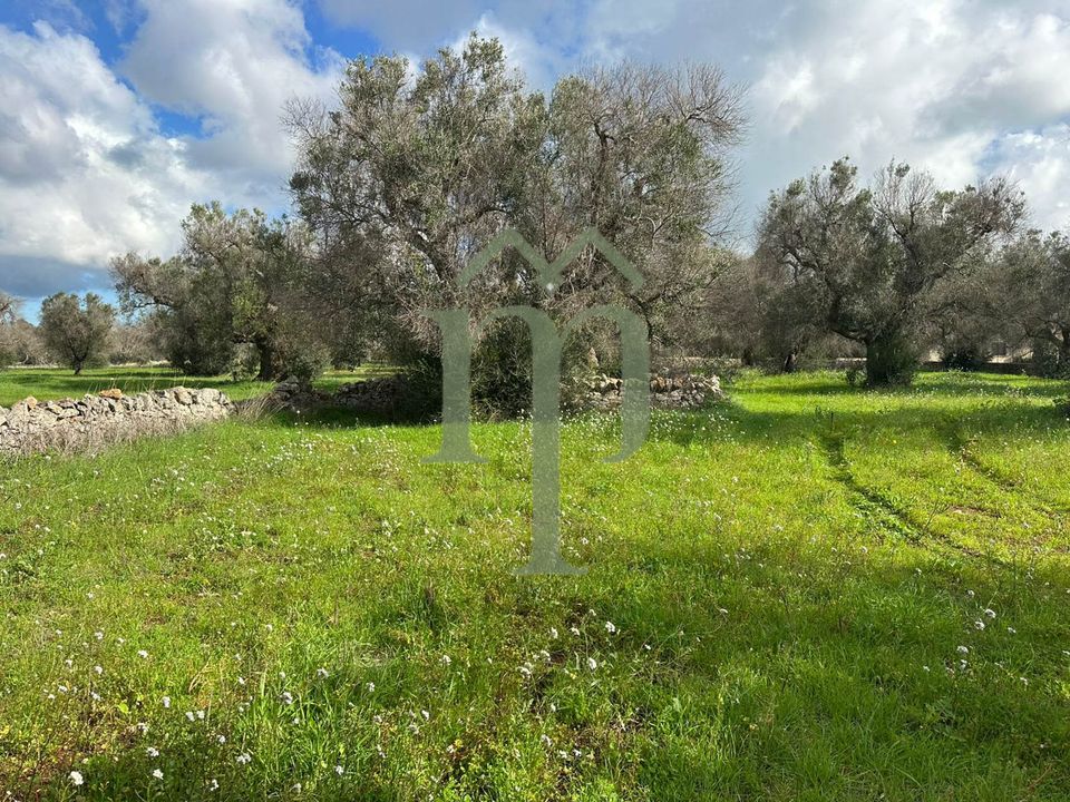 Helårsgrund i San Vito dei Normanni, Brindisi - foto 4